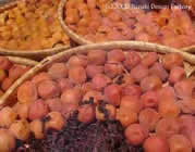 Doyo-Boshi - umeboshi