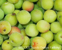 こまの産 甲州最小